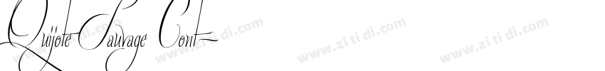 Quijote Sauvage Cont字体转换